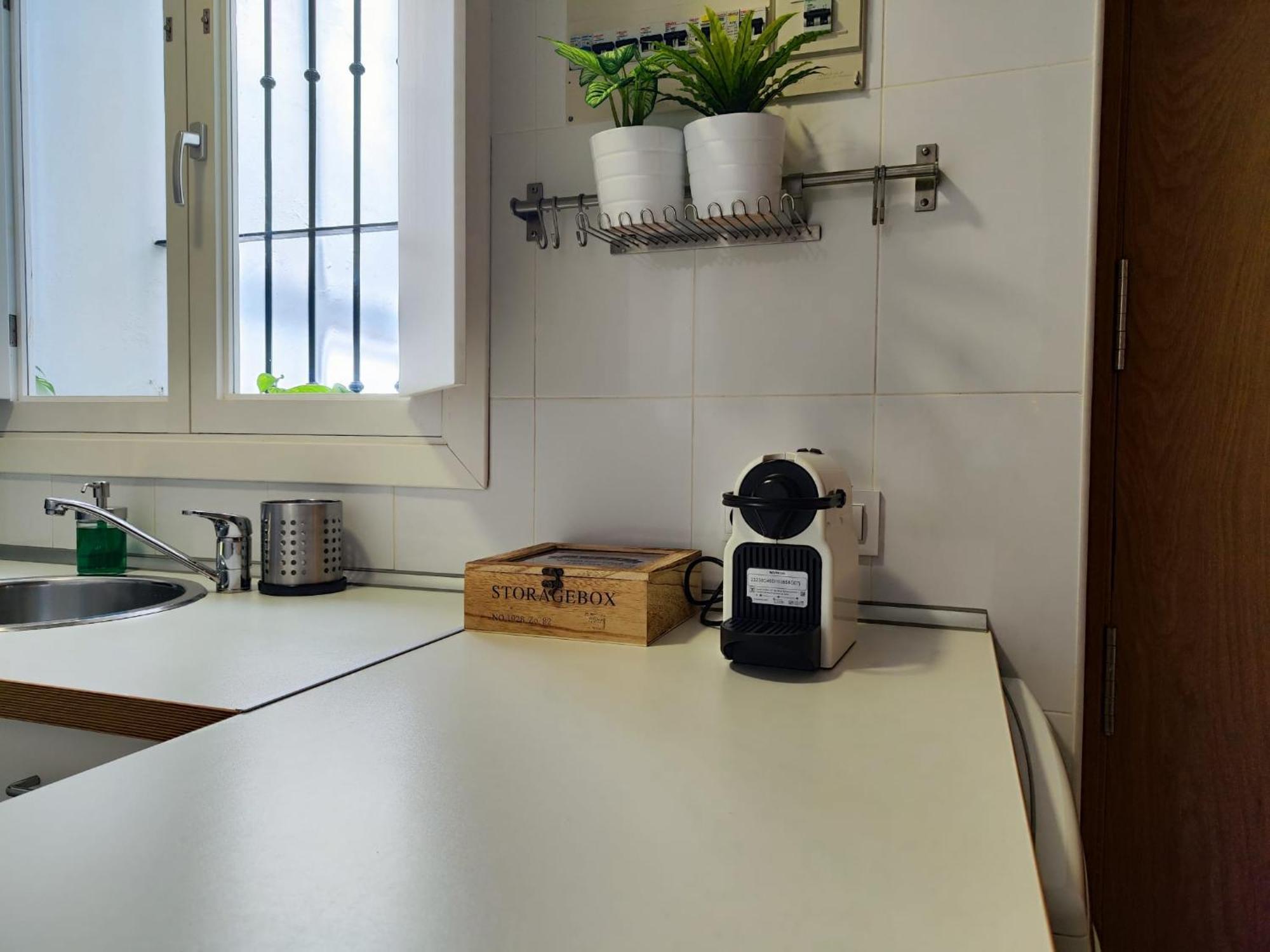 Suite Del Mercado Little Apartments Cadiz Bagian luar foto